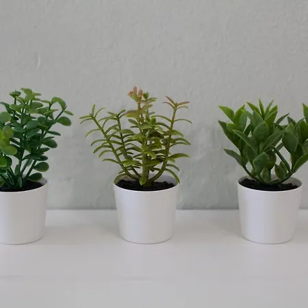 Sea Side Διαμέρισμα Rhodes City