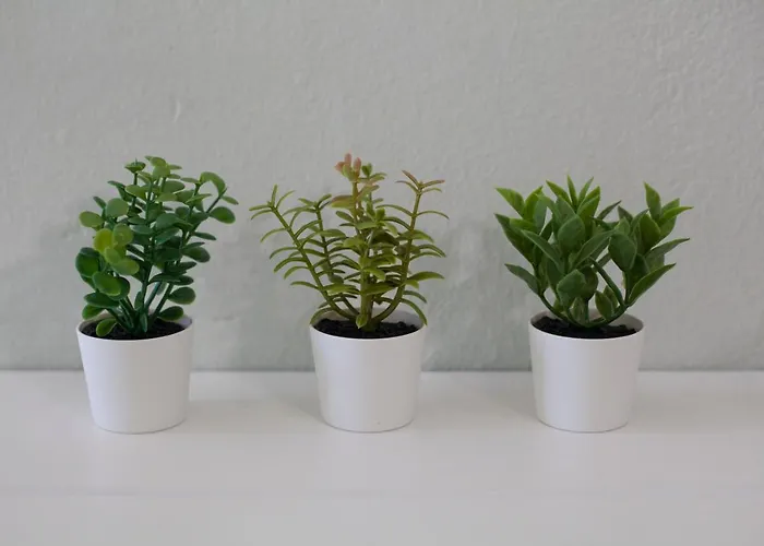 Sea Side Appartamento Rhodes City